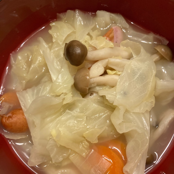 野菜たっぷり鶏白湯スープ